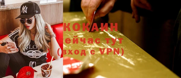 эйфоретик Бородино