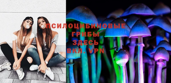 эйфоретик Бородино