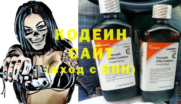 эйфоретик Бородино