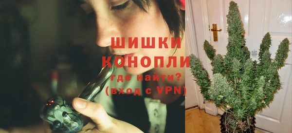 эйфоретик Бородино