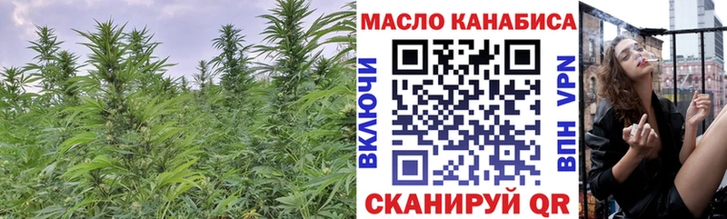 ТГК гашишное масло  магазин продажи наркотиков  Новый Оскол 