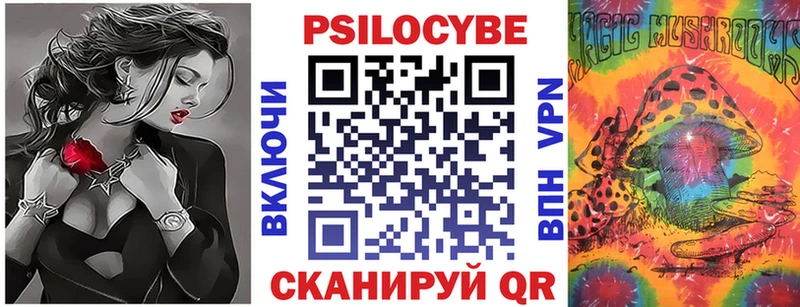 Псилоцибиновые грибы мицелий  Новый Оскол 